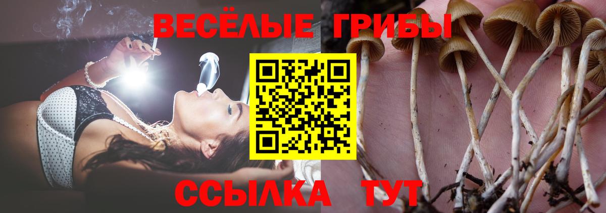 Галлюциногенные грибы мухоморы Бугуруслан